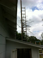 image-946631079.png