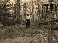 Tree Cutting.jpg