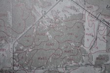 DSC_0473.jpg