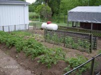 Gardens 2010 038 (Small) (Custom).jpg