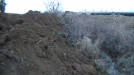 S1130007.JPG