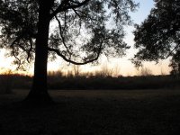 sunset.JPG