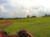 IMG_3438.jpg