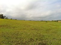 IMG_3445.jpg
