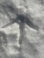 IMG_0121.jpeg