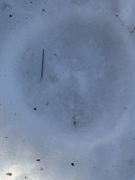 IMG_0129.jpeg