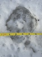 IMG_0133.jpeg