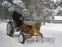 snow10cub.jpg