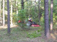DSCN5019.jpg