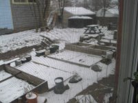 snow1.jpg