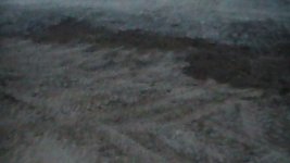 S1140007.JPG