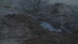 S1140010.JPG