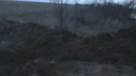 S1140011.JPG