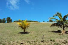Land pics 007.jpg