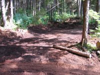 cabin dirt work 011.jpg