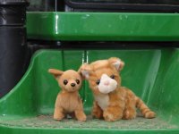 2009 NW Stock Show 060.jpg