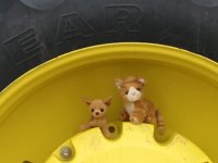 2009 NW Stock Show 061.jpg