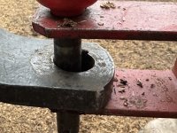 IMG_4292.jpeg