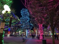 IMG_1190.jpeg