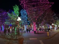 IMG_1188.jpeg