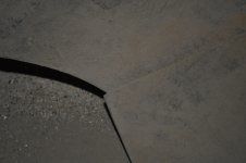 DSC_0877.JPG