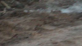 S1150017.JPG