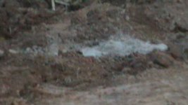 S1150018.JPG