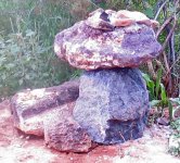 bird bath4.jpg