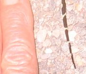 Sm-king-hand.jpg