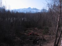 IMG_6940.jpg