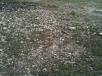 rocks 4.jpg