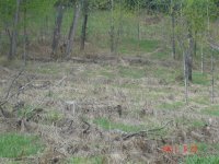mulching fecon 003.jpg
