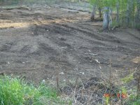 mulching fecon 2.jpg