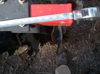2011-05-10 15.58.37.jpg