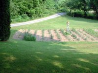 8-163817-garden.jpg