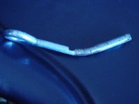 2-215037-screw1.jpg