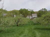 1-34320-Mvc-235x.jpg