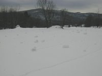 35-106317-Snowrollers.jpg