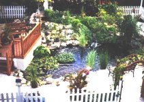 260715-Pond 3 2000 LR.jpg