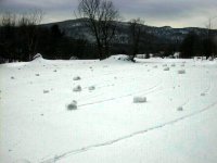 35-106369-Snowrollers.jpg