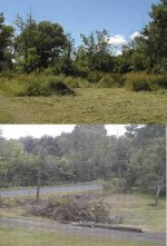 311787-Beforeafter.jpg