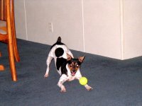 6-34956-buster.JPG
