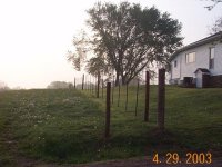 261168-_FencingPasture4_29_03 006.jpg