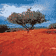 35-107742-nealtbn.gif