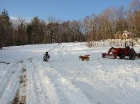 8-216246-Makingsledrun.jpg
