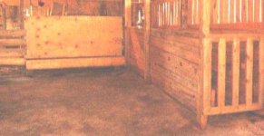 262310-after.jpg
