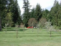 262573-Applesandtractors.jpg