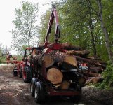 262662-load.jpg