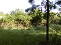 492159-2 before.JPG