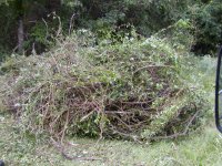 492166-6 piled ready to move.JPG